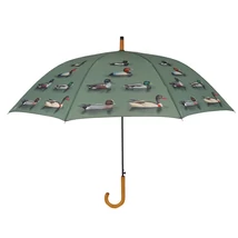 Esernyő (nagy) - récés