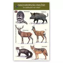 Ablakmatrica - Magyarország emlősei 1.