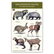 Ablakmatrica - Magyarország emlősei 2.