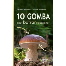 10 gomba, amit bátran leszedhet