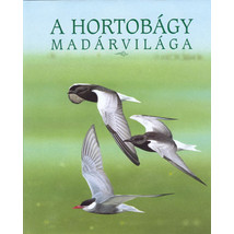A Hortobágy madárvilága