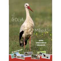 Gólya-mánia