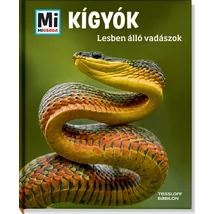 Kígyók-Lesben álló vadászok