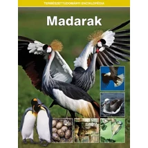 Madarak-TTE