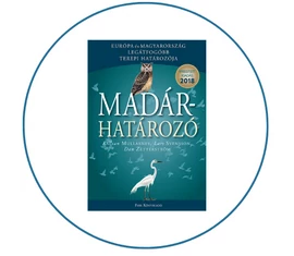 Határozók