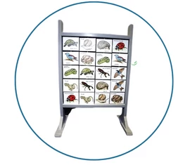 Fejlesztő játékok