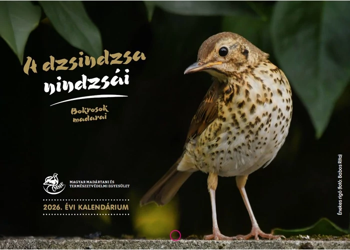 2026-os naptár