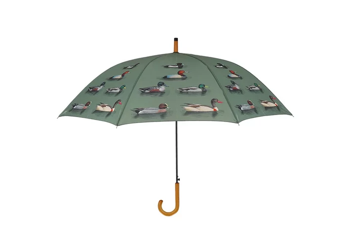 Esernyő (nagy) - récés