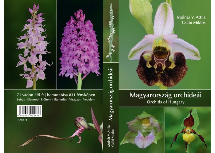 Magyarország orchideái M.V.A.