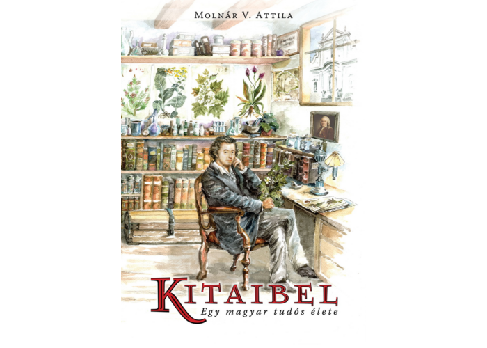KITAIBEL – egy magyar tudós élete