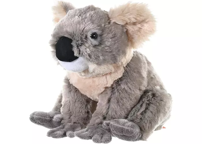 Plüss koala 