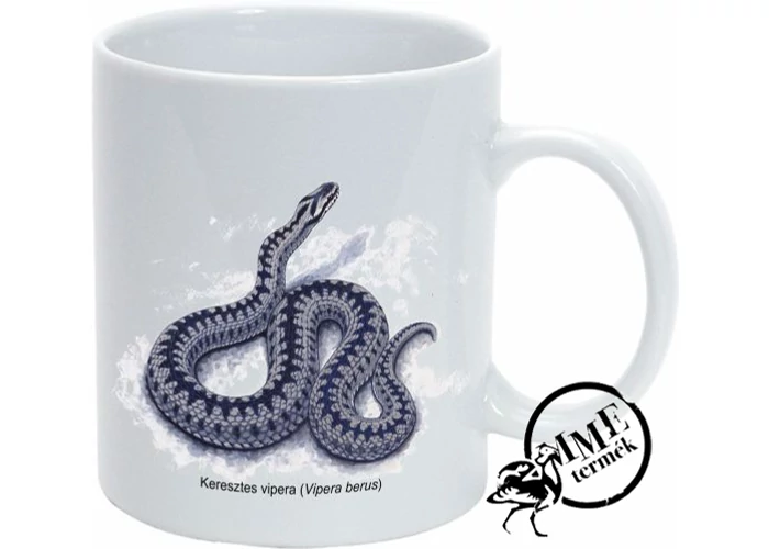 Bögre - keresztes vipera