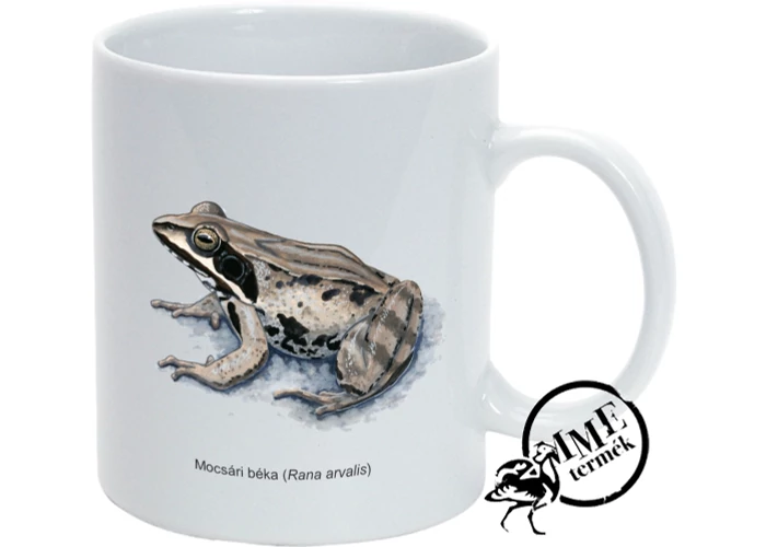 Bögre - mocsári béka
