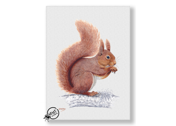 Falikép - vörös mókus