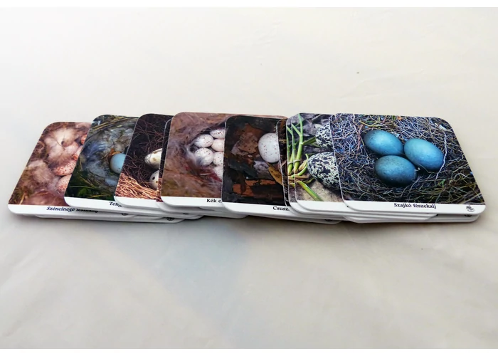 Memóriajáték - tojások