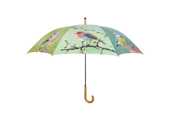 Nagy esernyő - madaras