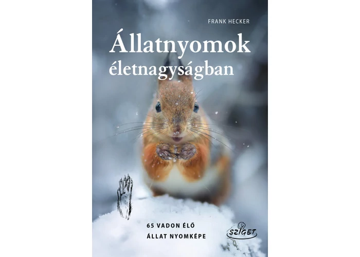 Állatnyomok életnagyságban