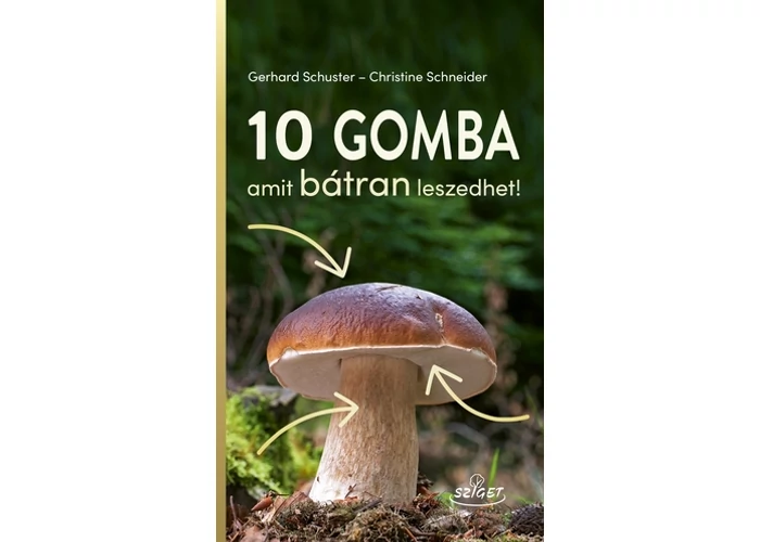 10 gomba, amit bátran leszedhet