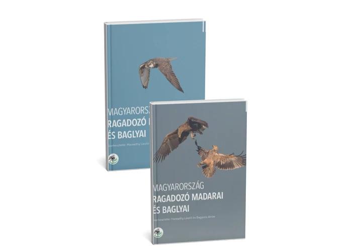 Magyarország ragadozómadarai és baglyai