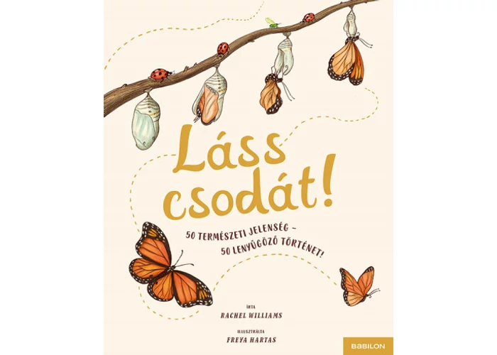 Láss csodát!