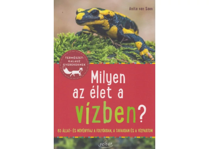 Milyen az élet a vízben?