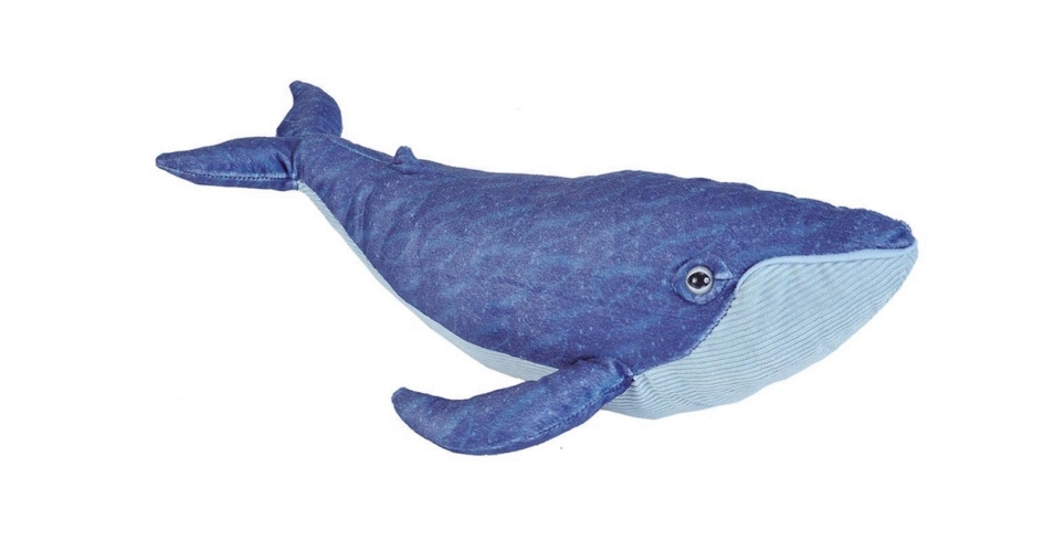 bálna kék kóddal